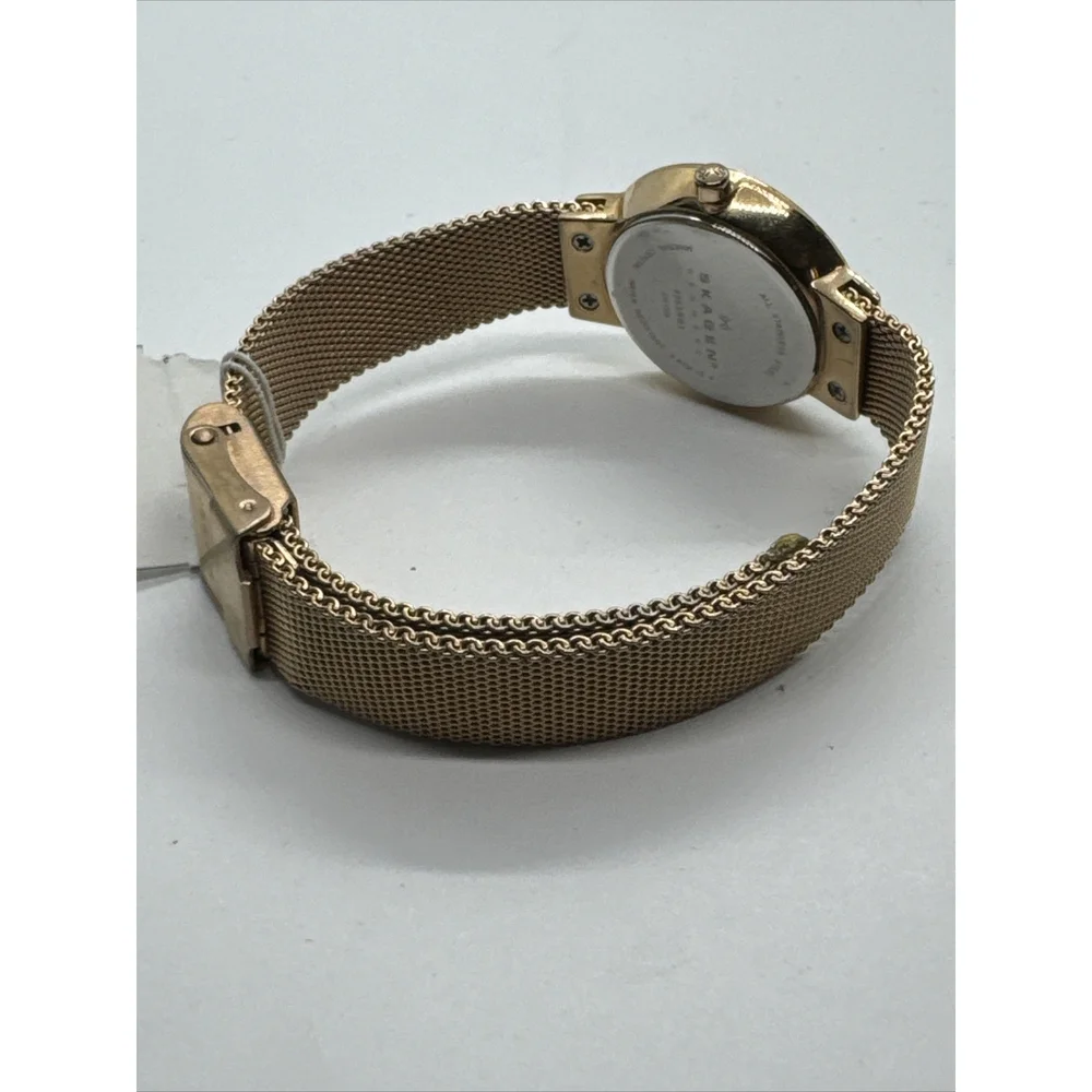 Skagen Leonora 456SRR1 Womens Rose Gold-Tone Steel Mesh Analog Dial Watch AEA155